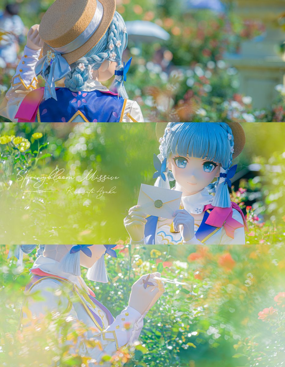 🦋
#GenshinImpact 
#神里綾華 #cosplay