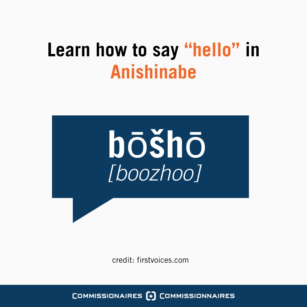 Since the Commissionaires National Office is located on unceded Anishinabe Algonquin territory, learn how to say hello in Anishinabe for #NationalIndigenousLanguagesDay! firstvoices.com/pafnw-anihsina…
