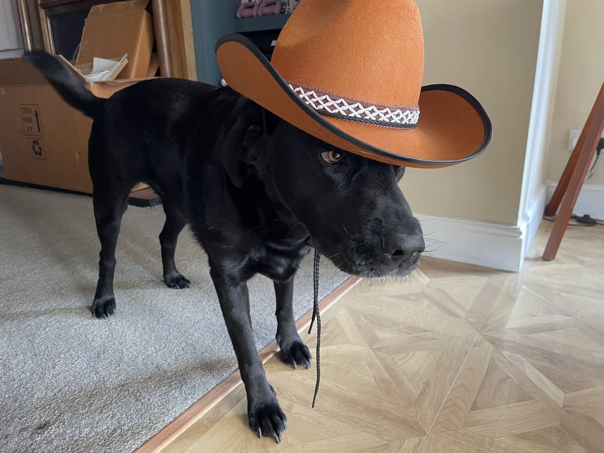 OFereday's tweet image. There’s a new sheriff in town