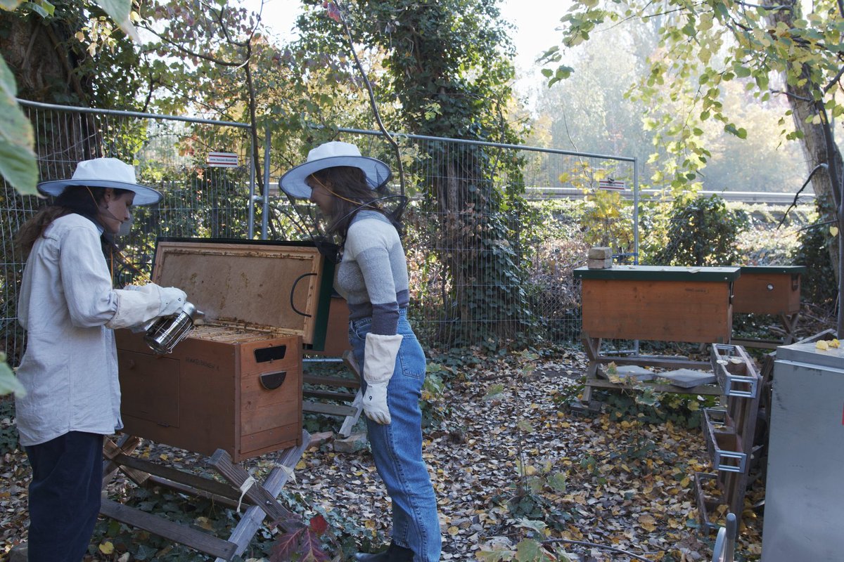 We are excited to share the story of BeeCode Berlin 🐝 — a citizen science project that’s bringing DNA barcoding out of the lab and into a community library and public forum.

Led by Thomas Sparks and Silvia Carvalho, the project gave high school students a real-world research
