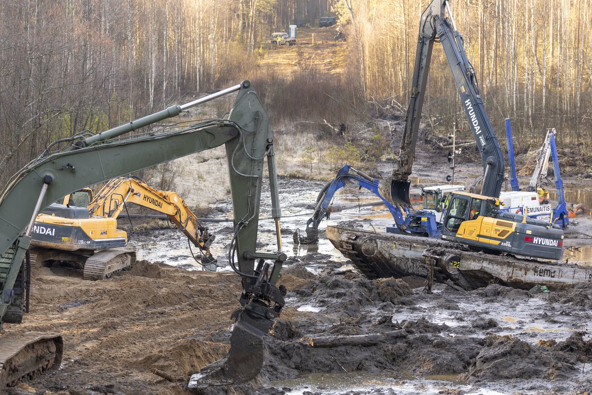 Vaidotas Beniušis tweet media