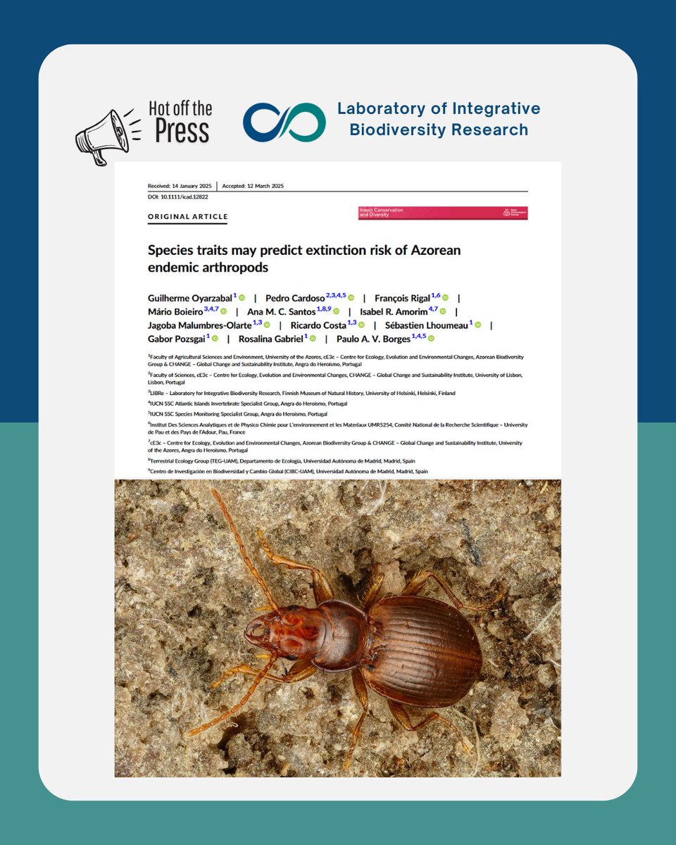 What predicts extinction risk in Azorean arthropods? Vertical stratum!  DOI: 0.1111/icad.12822
<a href="/cardosopmb/">Pedro Cardoso cardosopmb.bsky.social</a>  
#conservation #Azores #islandecology #cE3cresearch <a href="/CE3CResearch/">CE3C</a>