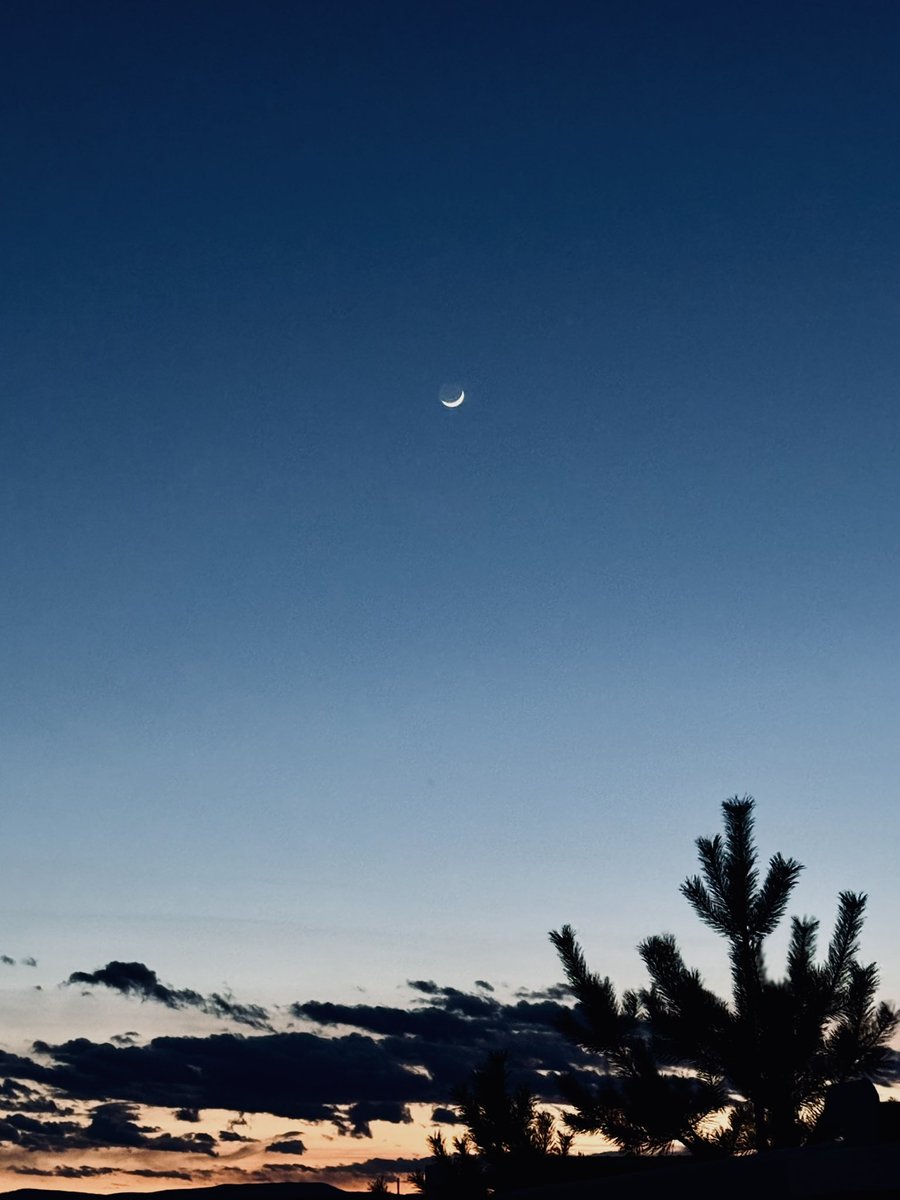 Сайхан амраарай. Хүсэл, мөрөөдөл бүхэн нь биелэсэн сайхан сар өнгөрөх болтугай. Хурай хурай хурай🙏🙏🙏