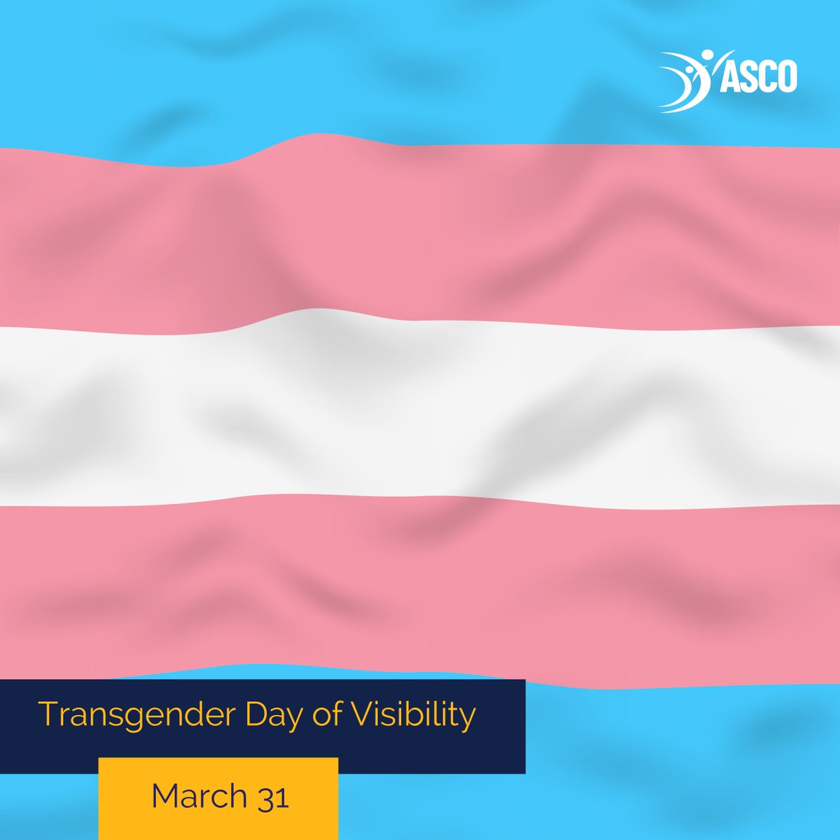 Happy International Transgender Day of Visibility! Today, we celebrate the beautiful diversity and strength of the trans community! Embrace your authentic self and shine brightly — your story matters! #TransVisibility #LoveIsLove