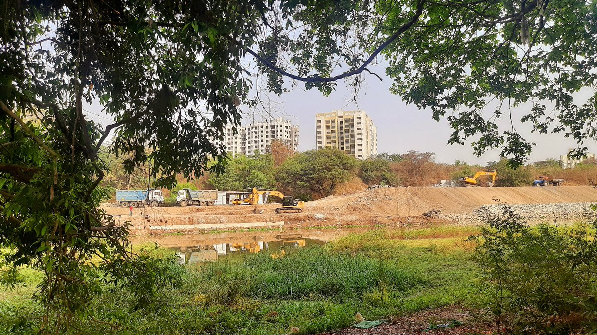 vandymini's tweet image. Yes, Riverfront Development Project: Trees have been tagged &amp;amp;  construction on the opposite riverbank is in full swing. The fate of ecologically &amp;amp; culturally significant grove remains uncertain. #SaveRamMulaDevrai We are demanding that it be declared a &apos;Community Reserve&apos; #Pune&quot;