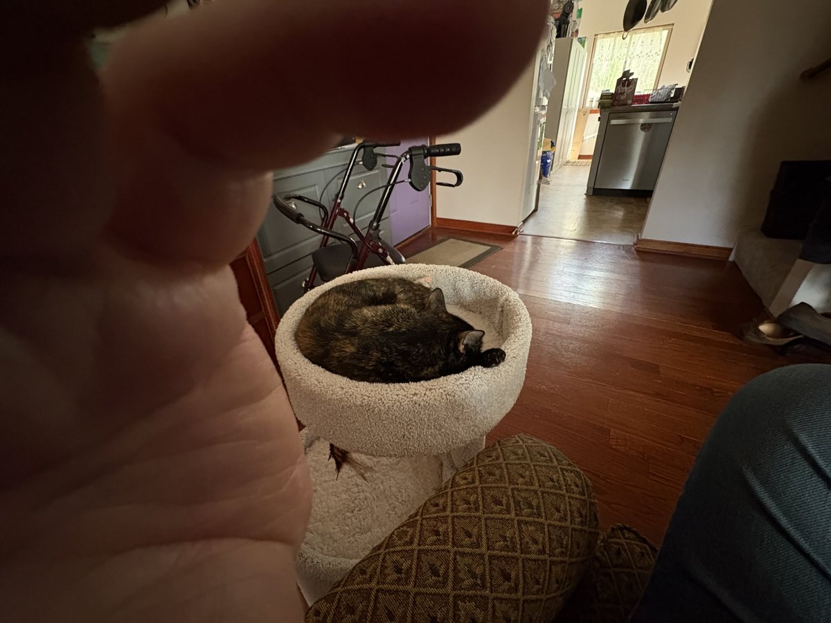 ⁦<a href="/realDonaldTrump/">Donald J. Trump</a>⁩