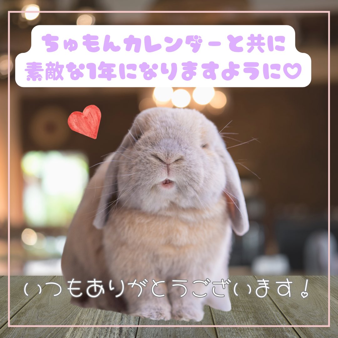 ちゅもんカレンダー期間限定で
注文リンク公開中です💝🥰🐰
➖➖➖➖➖➖➖➖➖➖➖➖
【ちゅもんA3壁掛けカレンダー🗓️】
tolot.com/minchu/?code=f…
🔑8031
➖➖➖➖➖➖➖➖➖➖➖➖
【ちゅもん卓上カレンダー🗓️】
tolot.com/minchu/?code=w…
🔑4063
➖➖➖➖➖➖➖➖➖➖➖➖