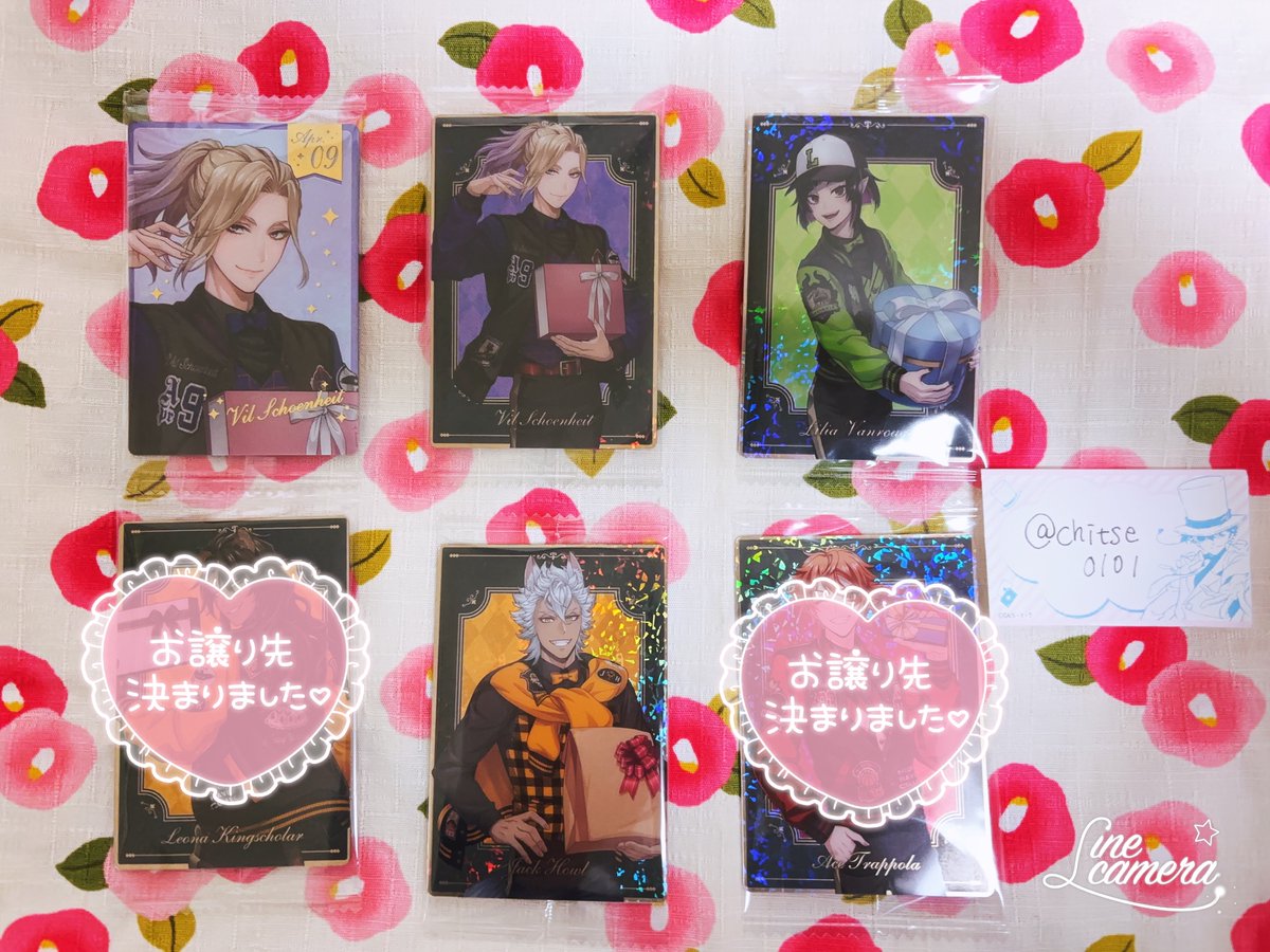 こちらレオナとエースの交換が決まりました。有難うございます🙇‍♀️💖