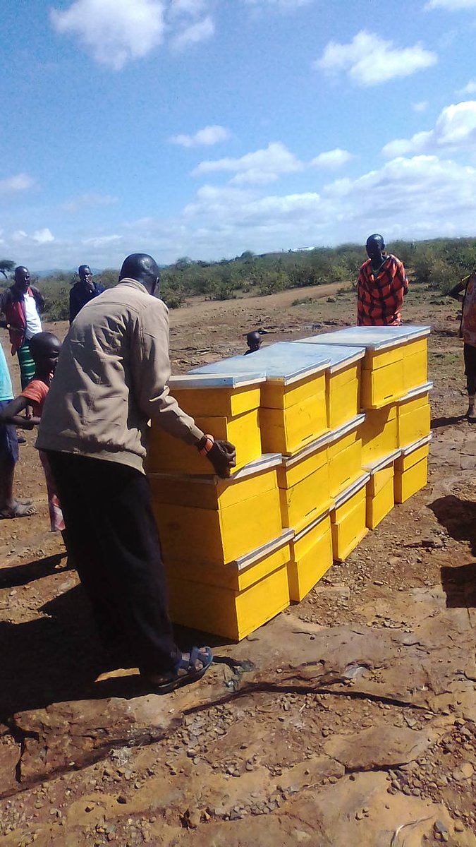 🐝🐝🐝🌻🌻
- Affordable Langstroth and K.T.B.H hives Available.
- Price from @ 3,850/- only!! 
- Contact 👉📲 0703 433155.
- Deliveries Done Country Wide❗️

Eid Mubarak Eid-ul-fitr #RutoMustGo #EidAlFitr Mt Kenya Development Tour