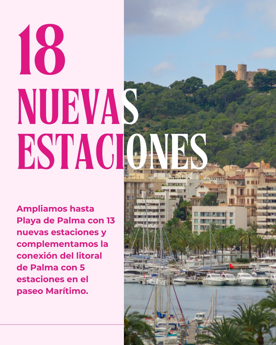 bicipalma tweet media