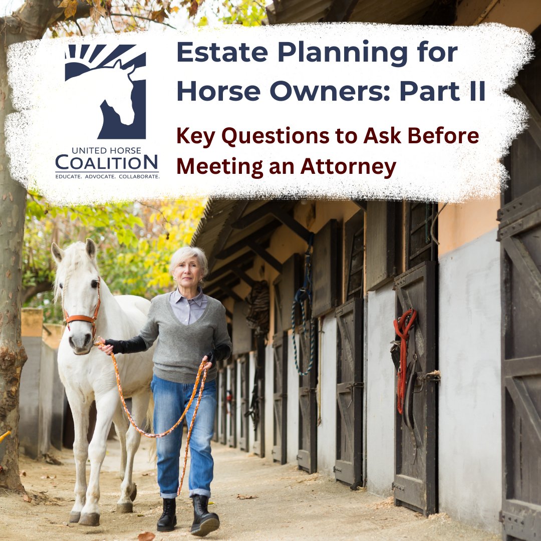 🐴 Estate Planning for Horse Owners: Part II 🐴

Responsible horse ownership includes making sure your equine partners are cared for if something happens to you. Before meeting with an estate attorney, consider these key questions.

👉 unitedhorsecoalition.org/estate-plannin…

#hereforhorseowners
