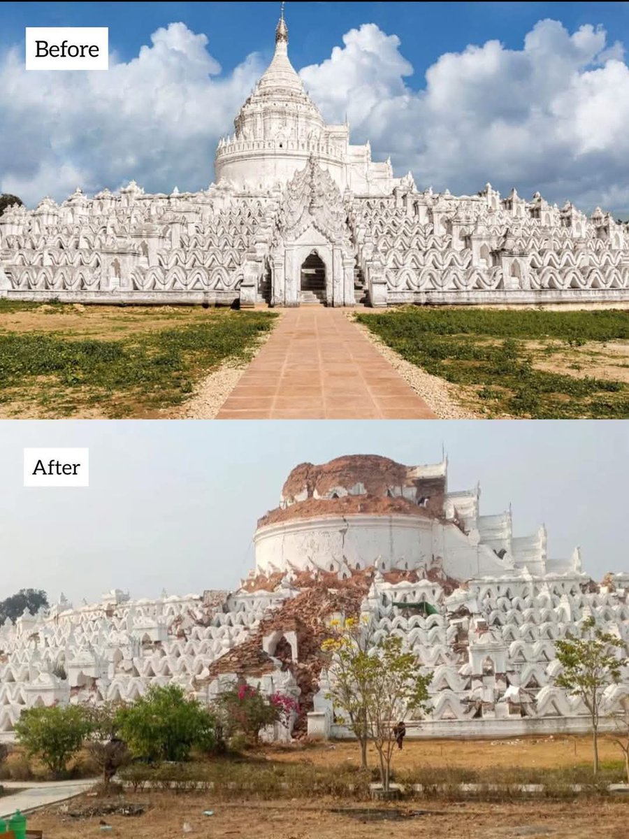 Backpack Seru tweet media