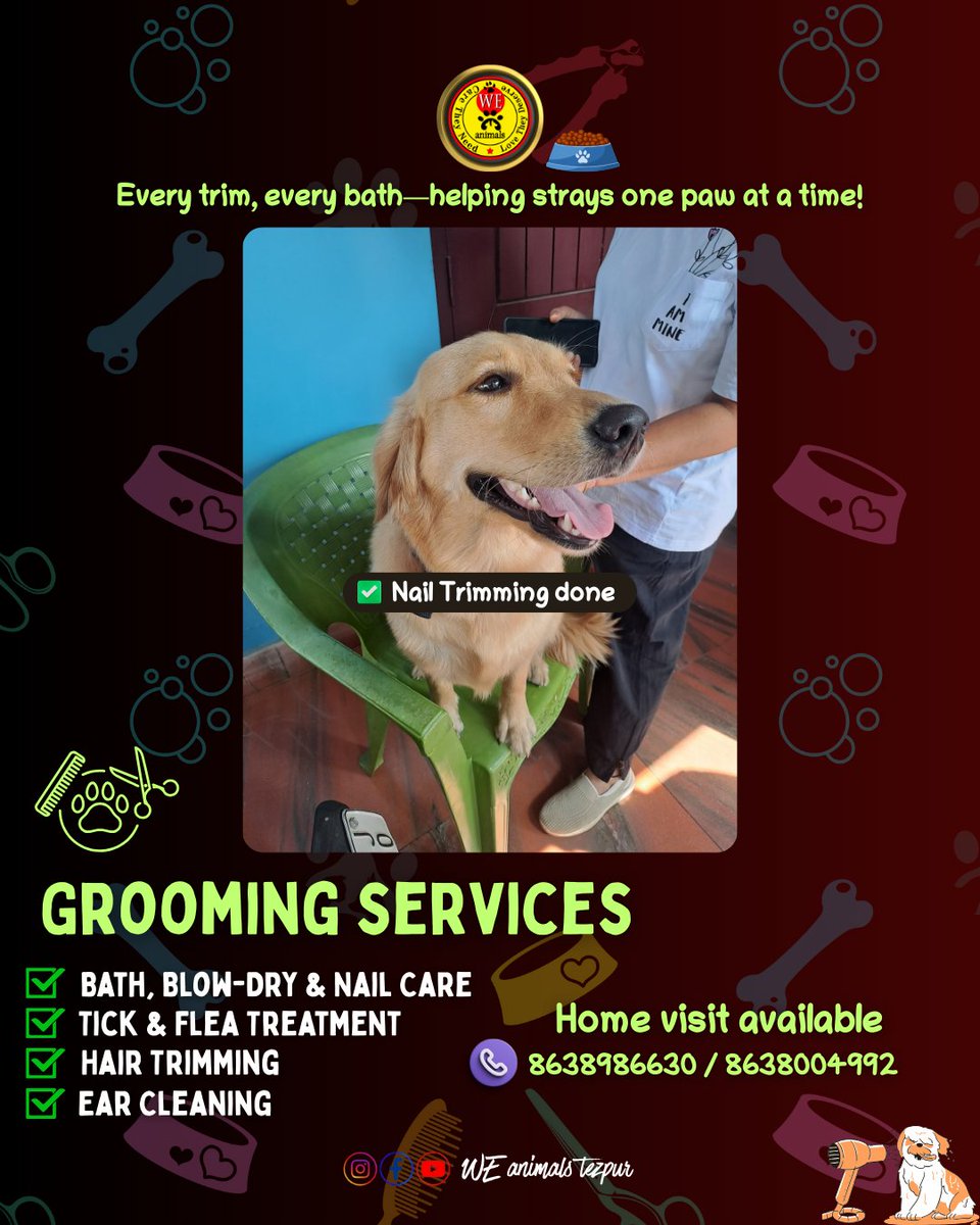 WEanimals2020's tweet photo. 🐾 Pet Grooming with a Purpose! 🐾  

Every TRIM and BATH helps a stray—one paw at a time! 💖✨  

 🐶 Bath | Trim | Nail Clipping | Ear &amp; Teeth Cleaning  

📞 Call/WhatsApp: 8638986630/ 8638004992

#grooming #petgrooming #weanimals #weanimalstezpur #tezpur https://t.co/9Q1kN0f1Rf