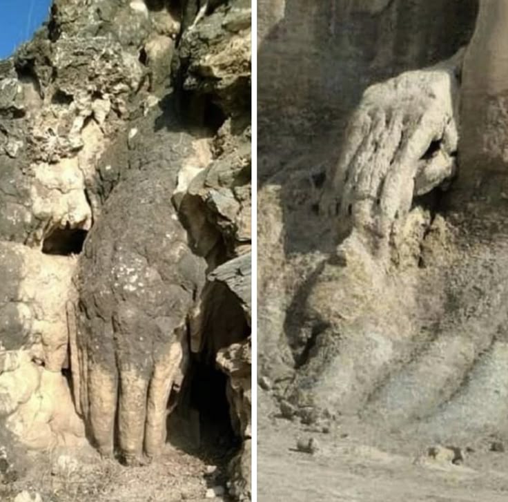 Xrgius Xanz tweet media