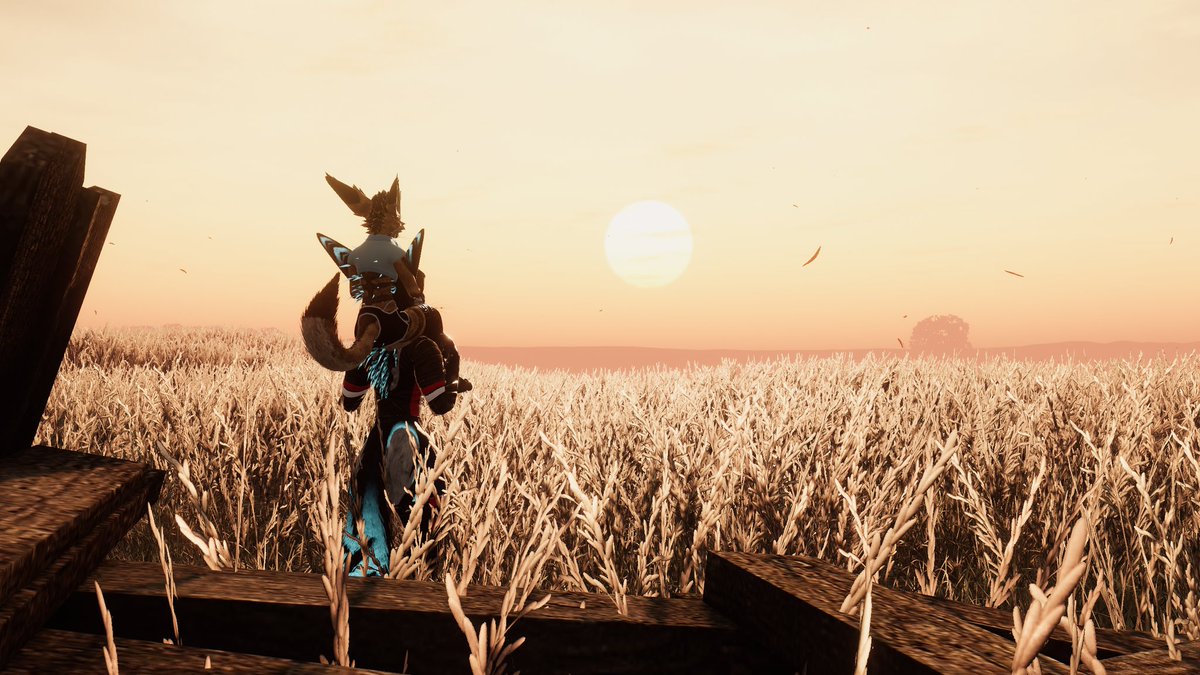 What awaits us ahead? <a href="/ZeekooFluff/">ZeekooFox</a>