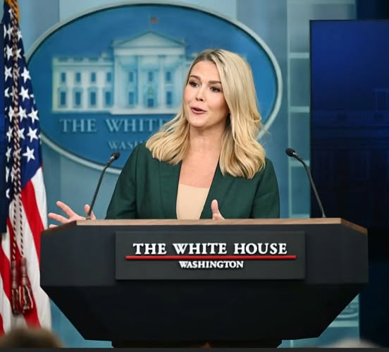 JamesTate121's tweet image. Priceless.  Danke!!!! Great response from Belgium 📷📷
--‐-------------------------
Oh, merci beaucoup, America! 📷
Because apparently, without you, all of Europe would be goose-stepping its way through history class right now—according to the White House’s very own Press…