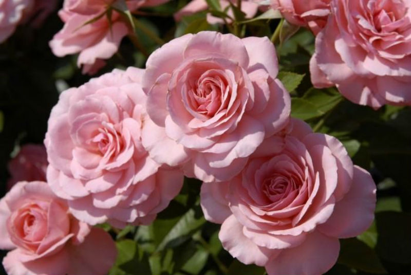 ღ Лиза Ветрова ღ (@_liza_vetrova) on Twitter photo <a href="/_OksanaFirsova/">Оксана Фирсова</a> <a href="/Dana__Levina/">💞 Дана Левина 💞</a> <a href="/_NikaSmirnova/">Ника Смирнова 🦋</a> <a href="/_PolinaSavina/">Полина Савина 🧢</a> <a href="/_TatyanaGolub/">Татьяна Голубева 🔥«</a> <a href="/Evelina__Lapina/">Эвелина Лапина</a> <a href="/Mishel_Lebedeva/">Мишель Лебедева</a> <a href="/BogSuvorova/">Богдана Суворова</a> <a href="/Karina__Zimina/">Карина Зимина 🦋</a> <a href="/Mari__Samsonova/">Мария Самсонова 💕</a> <a href="/Dominik_Svetova/">Доминика Светова</a> <a href="/Yuliya_Verina/">Юлия Верина 🍁</a> <a href="/_Anna_Gordeeva/">Анна Гордеева</a> <a href="/Frolova__Nastya/">Анастасия Фролова ✨</a> <a href="/Val_Valereva/">Валентина Валерьева</a> <a href="/Evgen_Safina/">Евгения Сафина</a> <a href="/Alina__Azarova/">Алина Азарова 🔥</a> <a href="/Liza_Vesnina/">Лизавета Веснина</a> <a href="/Sveta_Makeina/">Светлана Макеина</a> <a href="/Kseniya_Aksen/">Ксения Аксенова</a> <a href="/Roza_Rakitina/">Роза Ракитина</a> <a href="/IrishaKoroleva/">Ирина Королева</a> <a href="/_VladaBelova/">Влада Белова</a> <a href="/ya__chara/">Яна</a> <a href="/alberiniks/">Нина Альбертова</a> <a href="/lady__travel/">Нинэлька</a> <a href="/Ansupers/">Анастасия</a> <a href="/Alisa550055/">Алиса</a> <a href="/glamour__fifa/">Нэнси</a> <a href="/santairis_/">Ириска</a> <a href="/polovinkamoya/">Валентина</a> <a href="/niguzan/">Нина</a> <a href="/moyi_angel/">Ангелина</a> <a href="/ledi__briz/">Алина Голубкова</a> <a href="/Irina__Grad/">Ирина Градова</a> <a href="/shelkalina/">Galina Shelest</a> <a href="/leopoldolarag/">Leopoldo Lara</a> <a href="/P_barbaricina/">Patricia ♦️®🇮🇹</a> <a href="/VictoriAGVelan1/">Victoria Guerrero Velandia</a> <a href="/alpost19718/">Istina</a> <a href="/Anatolii70/">.Анатолий70</a> <a href="/Igor55549244/">Igor</a> <a href="/Vladimi94915948/">Vladimir</a> <a href="/math_007tutor/">Цифровой репетитор по математике физике английский</a> <a href="/olv42/">Анна Ильиных</a> <a href="/iO0WDvcSpnyOba5/">Люба</a> <a href="/kathyan72/">Hannah</a> <a href="/saulastam/">Sastam_25</a> <a href="/komaritski/">Slinkin SV</a> <a href="/ViktorMochalin/">mochalin viktor</a> <a href="/_OksanaFirsova/">Оксана Фирсова</a> <a href="/Dana__Levina/">💞 Дана Левина 💞</a> <a href="/_NikaSmirnova/">Ника Смирнова 🦋</a> <a href="/_PolinaSavina/">Полина Савина 🧢</a> <a href="/_TatyanaGolub/">Татьяна Голубева 🔥«</a> <a href="/Evelina__Lapina/">Эвелина Лапина</a> <a href="/Mishel_Lebedeva/">Мишель Лебедева</a> <a href="/BogSuvorova/">Богдана Суворова</a> <a href="/Karina__Zimina/">Карина Зимина 🦋</a> <a href="/Mari__Samsonova/">Мария Самсонова 💕</a> <a href="/Dominik_Svetova/">Доминика Светова</a> <a href="/Yuliya_Verina/">Юлия Верина 🍁</a> <a href="/_Anna_Gordeeva/">Анна Гордеева</a> <a href="/Frolova__Nastya/">Анастасия Фролова ✨</a> <a href="/Val_Valereva/">Валентина Валерьева</a> <a href="/Evgen_Safina/">Евгения Сафина</a> <a href="/Alina__Azarova/">Алина Азарова 🔥</a> <a href="/Liza_Vesnina/">Лизавета Веснина</a> <a href="/Sveta_Makeina/">Светлана Макеина</a> <a href="/Kseniya_Aksen/">Ксения Аксенова</a> <a href="/Roza_Rakitina/">Роза Ракитина</a> <a href="/IrishaKoroleva/">Ирина Королева</a> <a href="/_VladaBelova/">Влада Белова</a> <a href="/ya__chara/">Яна</a> <a href="/alberiniks/">Нина Альбертова</a> <a href="/lady__travel/">Нинэлька</a> <a href="/Ansupers/">Анастасия</a> <a href="/Alisa550055/">Алиса</a> <a href="/glamour__fifa/">Нэнси</a> <a href="/santairis_/">Ириска</a> <a href="/polovinkamoya/">Валентина</a> <a href="/niguzan/">Нина</a> <a href="/moyi_angel/">Ангелина</a> <a href="/ledi__briz/">Алина Голубкова</a> <a href="/Irina__Grad/">Ирина Градова</a> <a href="/shelkalina/">Galina Shelest</a> <a href="/leopoldolarag/">Leopoldo Lara</a> <a href="/P_barbaricina/">Patricia ♦️®🇮🇹</a> <a href="/VictoriAGVelan1/">Victoria Guerrero Velandia</a> <a href="/alpost19718/">Istina</a> <a href="/Anatolii70/">.Анатолий70</a> <a href="/Igor55549244/">Igor</a> <a href="/Vladimi94915948/">Vladimir</a> <a href="/math_007tutor/">Цифровой репетитор по математике физике английский</a> <a href="/olv42/">Анна Ильиных</a> <a href="/iO0WDvcSpnyOba5/">Люба</a> <a href="/kathyan72/">Hannah</a> <a href="/saulastam/">Sastam_25</a> <a href="/komaritski/">Slinkin SV</a> <a href="/ViktorMochalin/">mochalin viktor</a>