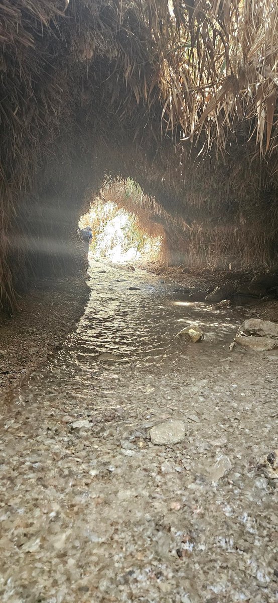 יש לפעמים רגעים שנדמה
הנה האור בקצה

(יהודה פוליקר)

חזרתי