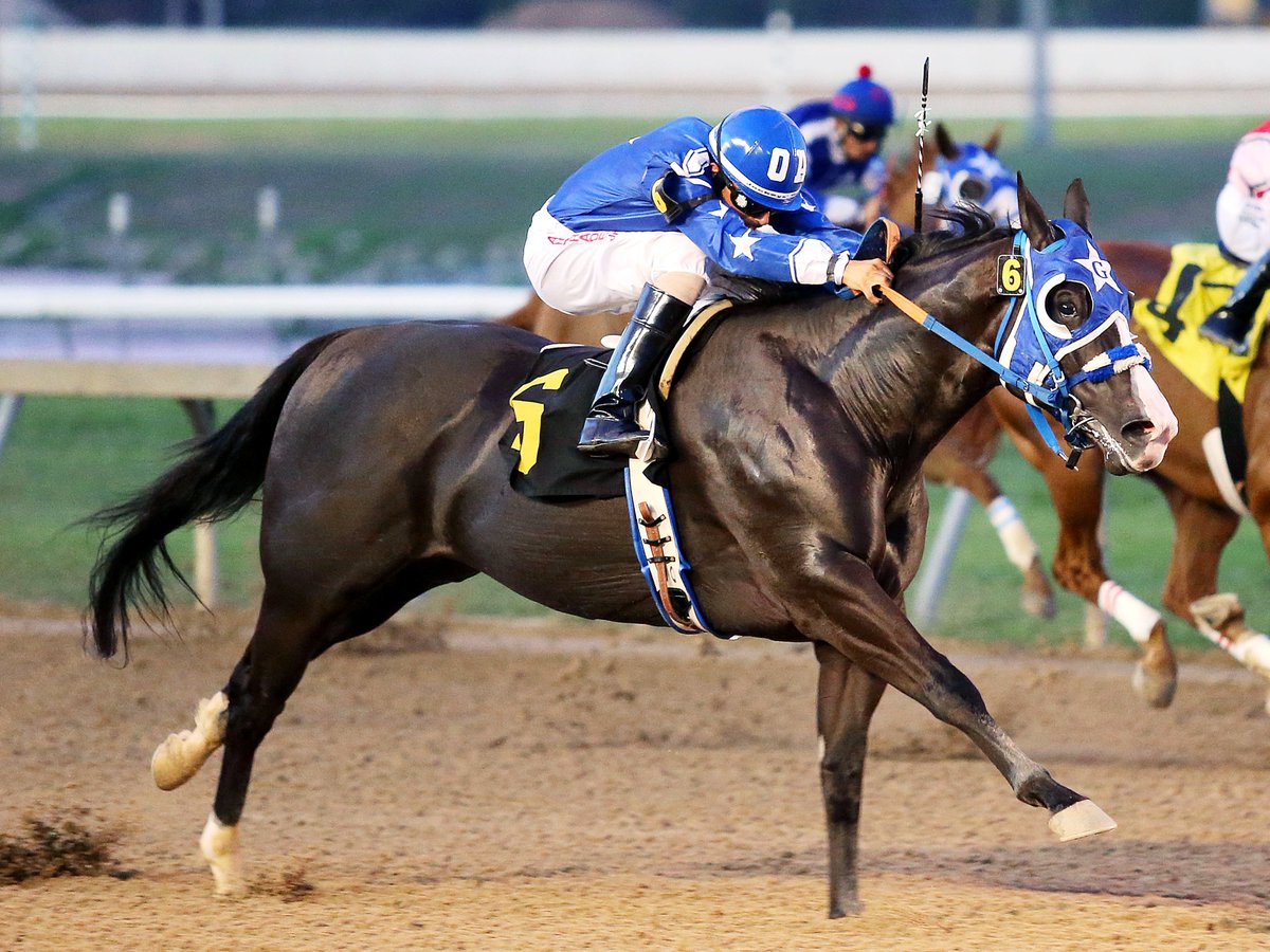 Retama Park (@retamapark) on Twitter photo 🚨 MAJOR NEWS 🚨
Tickets for the #RetamaPark 2025 Racing Meet are now LIVE❗Don't miss a moment of the action and secure your seats now 🎟️ bit.ly/3TSLScT
<a href="/AQHARacing/">AQHA Racing</a>
📸 Jack Coady Photo 🚨 MAJOR NEWS 🚨
Tickets for the #RetamaPark 2025 Racing Meet are now LIVE❗Don't miss a moment of the action and secure your seats now 🎟️ bit.ly/3TSLScT
<a href="/AQHARacing/">AQHA Racing</a>
📸 Jack Coady Photo