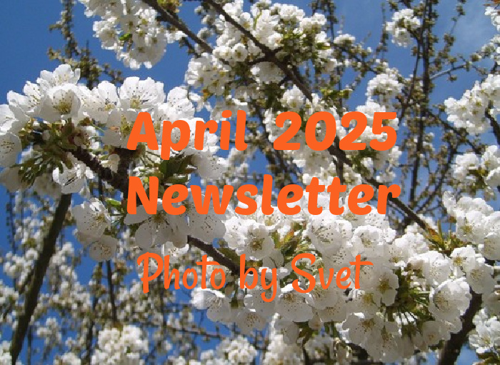 lymphsurvival's tweet photo. The April 2025 Newsletter has been posted --Best in Health, Robert #lymphoma --  (link: https://t.co/SSeNVa3Iri) https://t.co/mo39ifIRsS