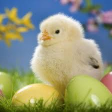 Mrs Webster tweet media