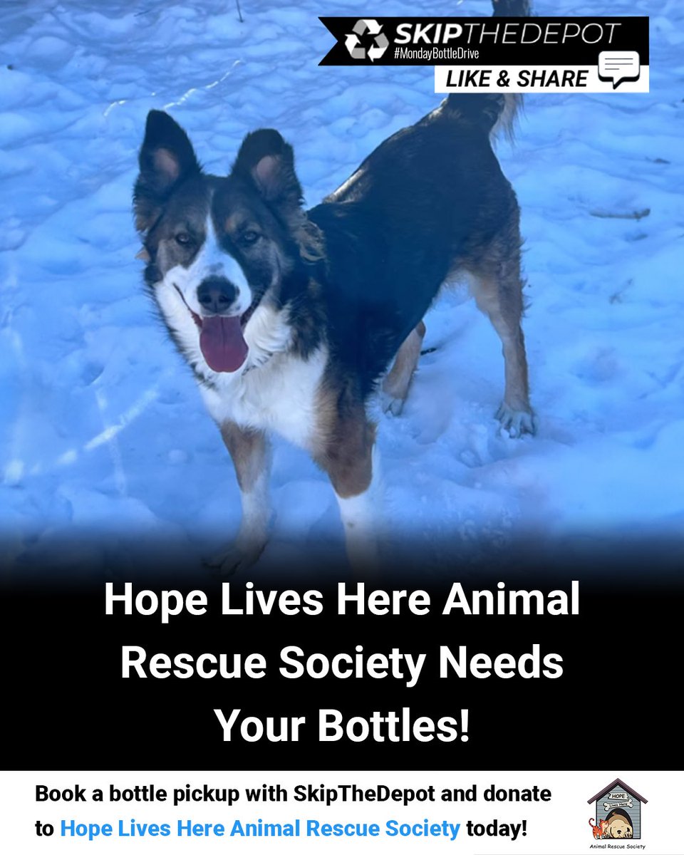 Hope Lives Here Animal Rescue Society is on a mission, and we need YOUR help! ♻️ Partnered with SkipTheDepot, we're turning bottles, electronics, and clothing into a force for good. 

Donate your bottles to them here: app.skipthedepot.com/hopelivesherer… 

#bottledepot #bottledepotnearme