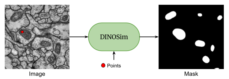 Aitor González-Marfil tweet media
