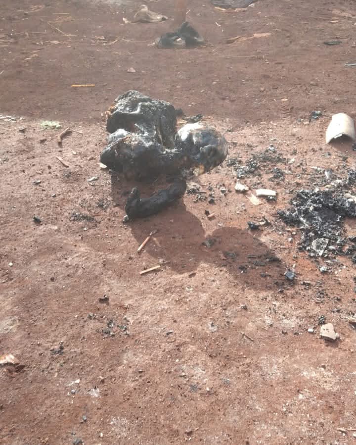 kanynarybr's tweet photo. Emergência 🚨 

Na madrugada deste domingo (31), uma família indígena foi brutalmente assassinada ao ter sua casa incendiada por pistoleiros na retomada Avaeti, em Dourados (MS). 
Entre as vítimas, estavam uma mulher e uma criança, que morreram carbonizadas.

#povoguaranikaiowá https://t.co/ZFBuAw7SJx
