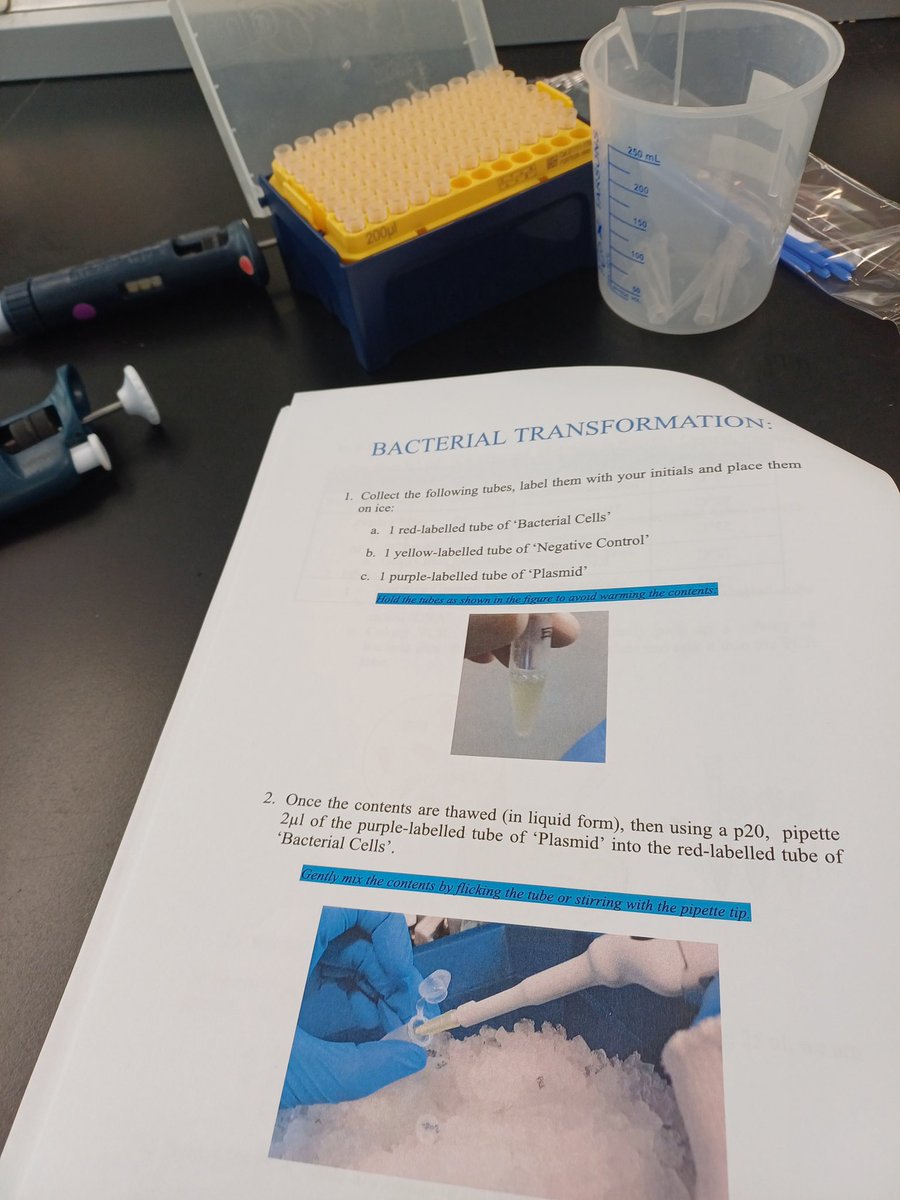 Mulroy College (@mulroycollege) on Twitter photo Three of our 5th year students, Rishon Sojan, Máire Friel and Isabella Du Randt were lucky to get an opportunity to spend last Wednesday in UCD, carrying out a workshop on bacterial transformation in a professional lab with <a href="/abe_ireland/">Amgen Biotech Experience Ireland</a> 🔬🔬
#WeAreDonegalETB Three of our 5th year students, Rishon Sojan, Máire Friel and Isabella Du Randt were lucky to get an opportunity to spend last Wednesday in UCD, carrying out a workshop on bacterial transformation in a professional lab with <a href="/abe_ireland/">Amgen Biotech Experience Ireland</a> 🔬🔬
#WeAreDonegalETB