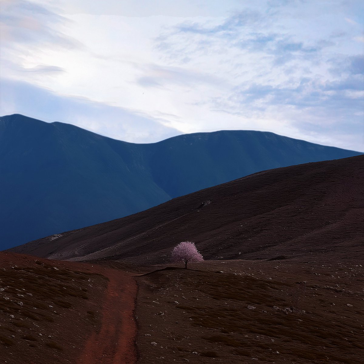 Aşkın bünyede yarattığı etki..