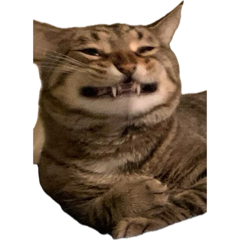 suni ✿ ♿️ tweet media