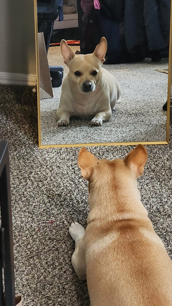 he been contemplating for a minute now...time for a walk