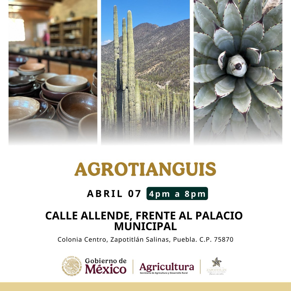 Agricultura Puebla tweet media