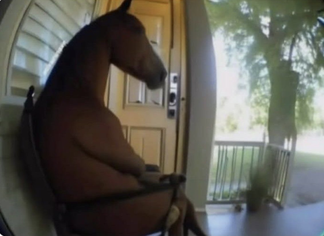 Apparement y’a de l’eau dans le gaz entre Lucky Luke et Jolly Jumper