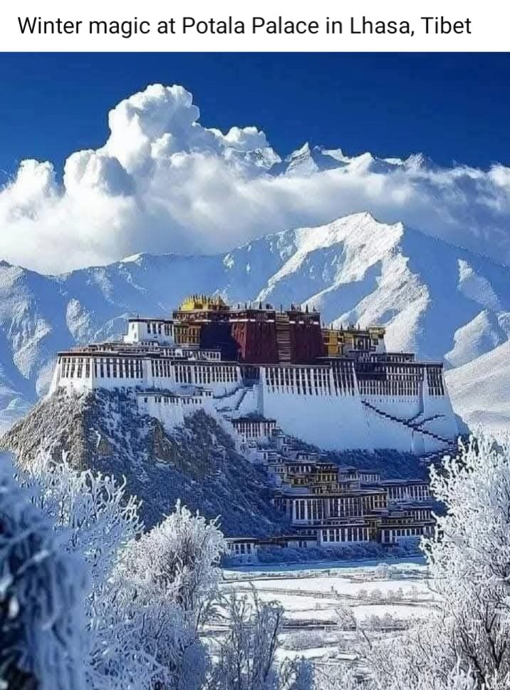 Bsherani (@bsherani9) on Twitter photo 