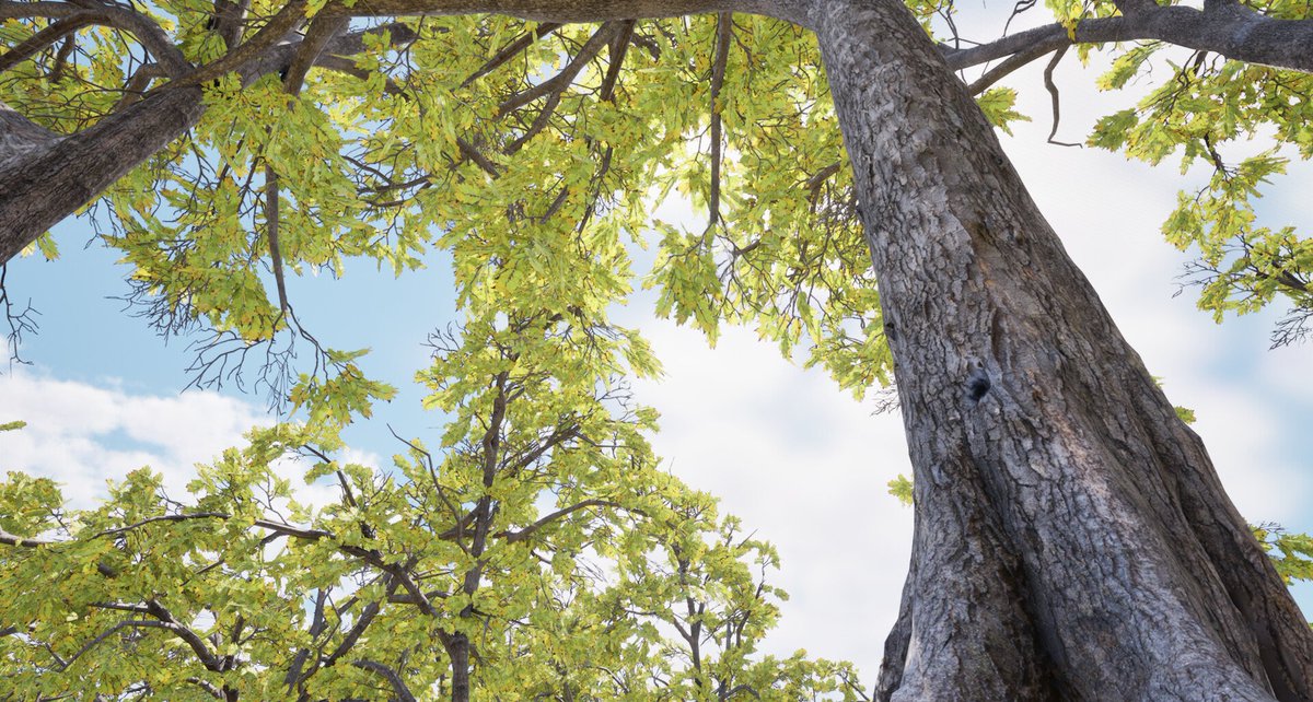 Hey all,

One of my students Dominykas Metlevski posted his work from our 6 week course Vegetation and plants for games <a href="/CGMasterAcademy/">CG Master Academy</a> 

His, tall prairie grass environment!

Checkout the full post here: artstation.com/artwork/rle15L

<a href="/SpeedTreeInc/">SpeedTree</a> <a href="/Substance3D/">Adobe Substance 3D</a> <a href="/maxonzbrush/">Maxon ZBrush</a>