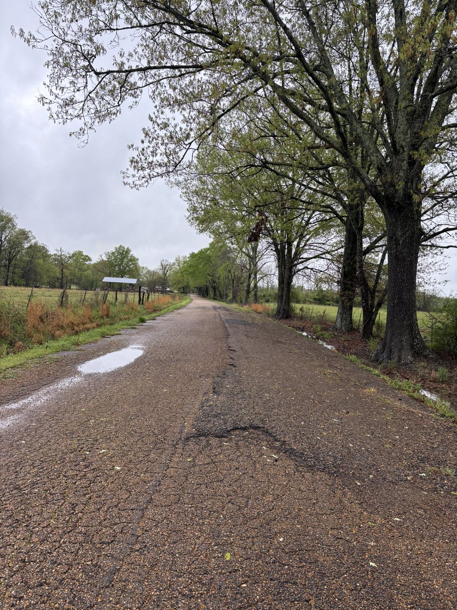 MelindaHoward4's tweet photo. Todayโs route ๐
#Mississippi #countryrunner https://t.co/5759Y2xWpT