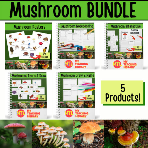 Planning to visit a forest in your area this Spring or Summer? If you have kiddos in 6th-12th grades, it is a perfect time to teach them about mushrooms! This resource is packed full of ready to print and use materials: Mushroom Bundle | Studying Fungi myteachinglibrary.com/product/mushro…
