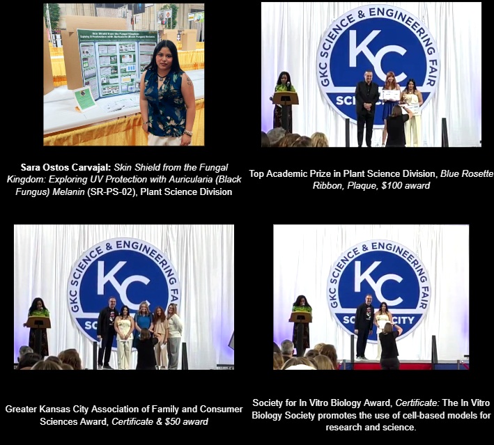 Debbie Cox (@coxvhsci) on Twitter photo Congrats to <a href="/VanhornHS_/">Van Horn High School</a> biomed senior, Sara Ostos Carvajal, for winning several awards during the
<a href="/UnionStationKC/">Union Station KC</a> GKC Sci & Engineering Fair ceremony on Saturday! Her project: "Skin Shield from the Fungal Kingdom: Exploring UV Protection with Auricularia (Black Fungus) Melanin." Congrats to <a href="/VanhornHS_/">Van Horn High School</a> biomed senior, Sara Ostos Carvajal, for winning several awards during the
<a href="/UnionStationKC/">Union Station KC</a> GKC Sci & Engineering Fair ceremony on Saturday! Her project: "Skin Shield from the Fungal Kingdom: Exploring UV Protection with Auricularia (Black Fungus) Melanin."