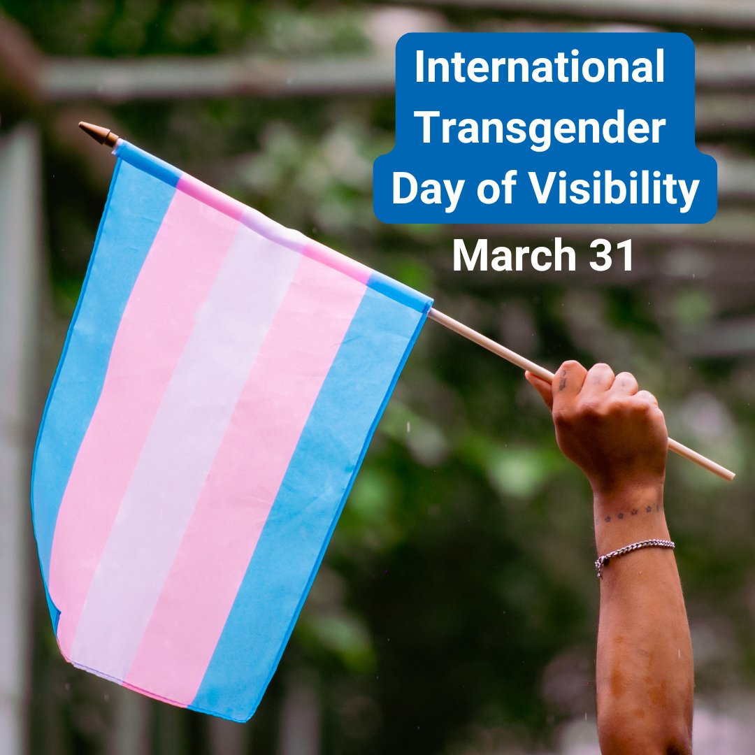 On #TransgenderDayofVisibility PCNs reaffirm our commitment to safe, inclusive care for 2SLGBTQI+ communities. 🏳️‍⚧️ PCN programs, health teams and your doctor’s office offer safe spaces for compassionate care. For resources or support, talk to your primary care provider.