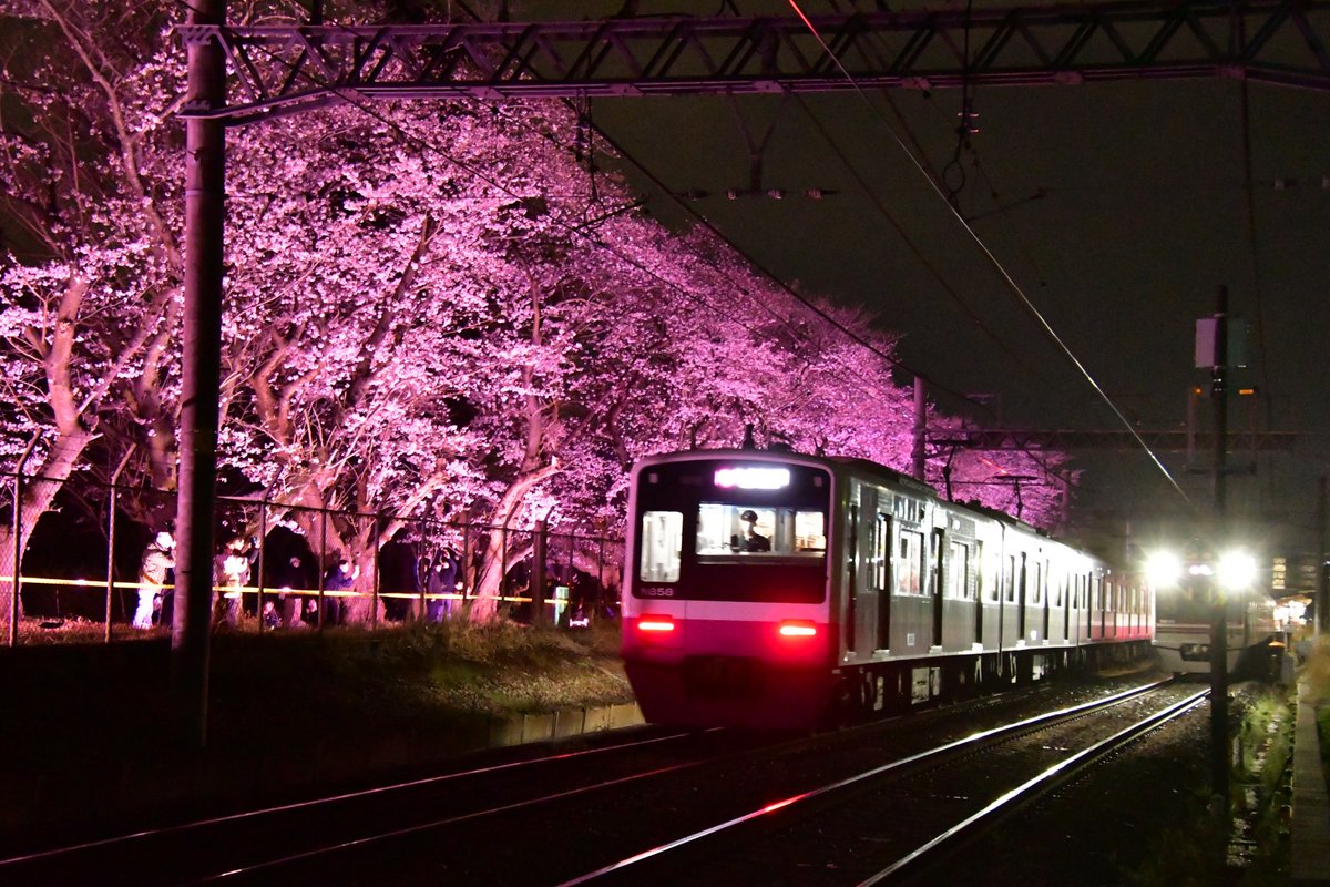 TK_Local0127's tweet photo. 今日は泉北高速鉄道と新京成電鉄の最後の日。
ありがとう。そしてお疲れ様でした。 https://t.co/0MVtx7UFGP