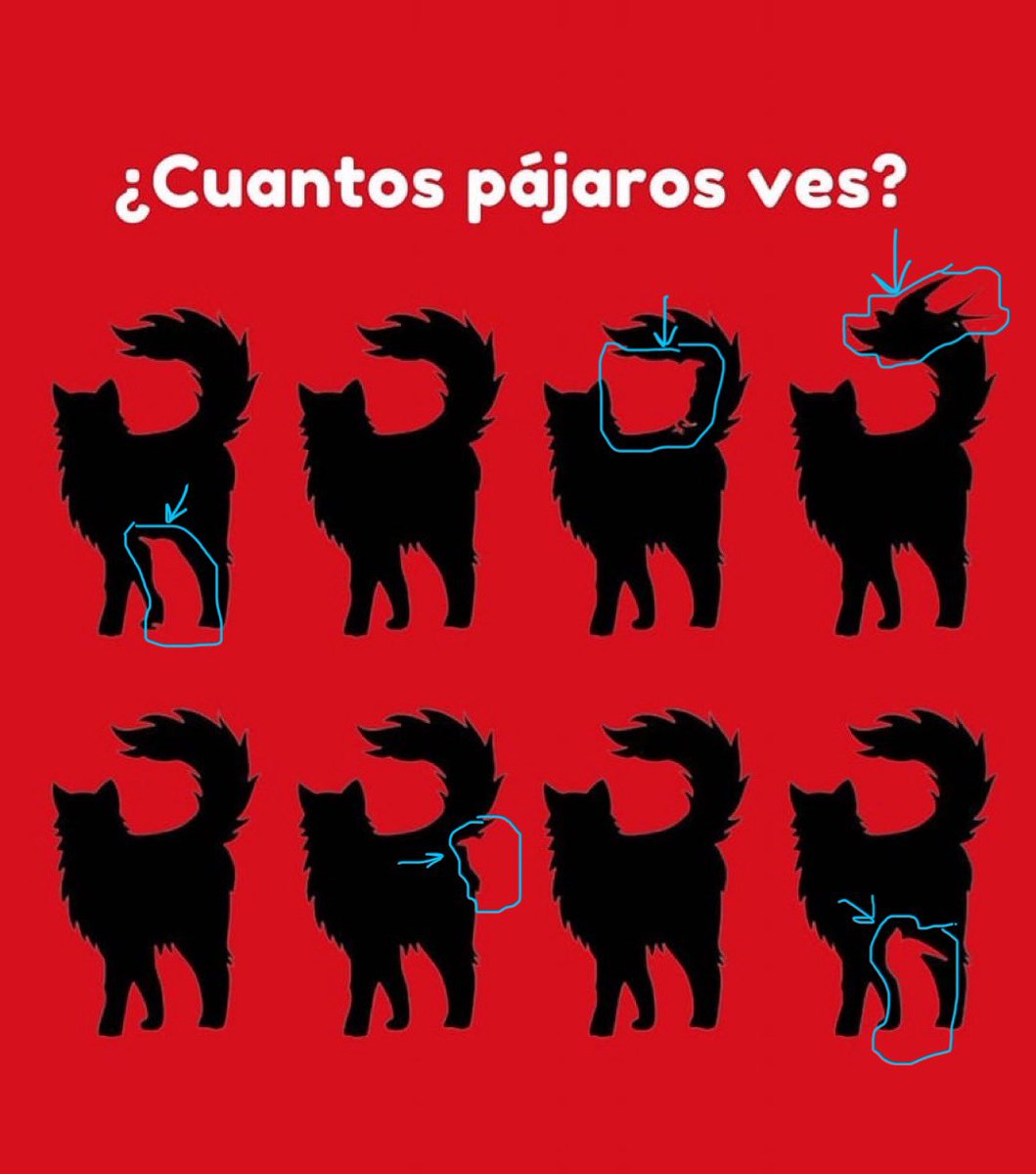 markitecta's tweet photo. @EnsedeCiencia 5 en total https://t.co/yNsyI9a7qm