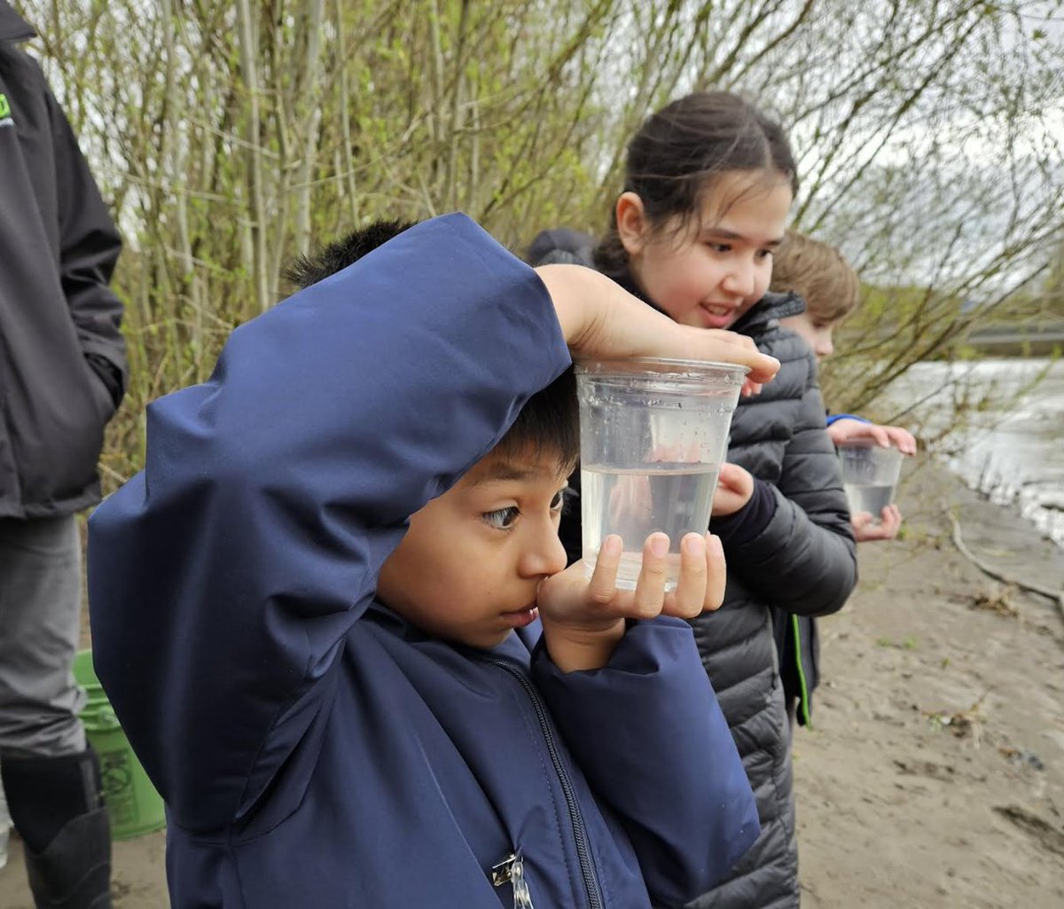 NVSchools's tweet photo. Everson Elementary students have been helping raise salmon in a school aquarium this school year. The students ventured to the Nooksack River on Friday to release the salmon. https://t.co/Ka6AxiE4yW