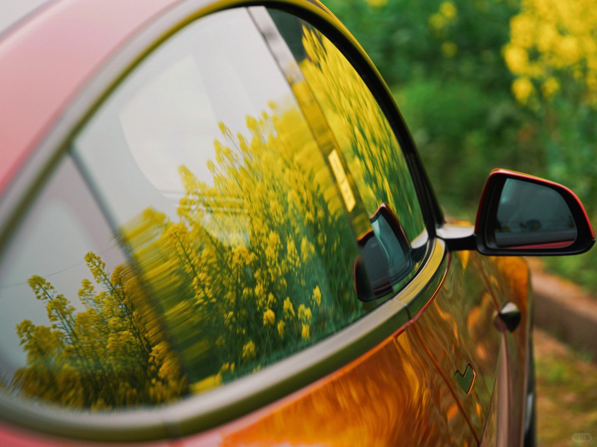 DriveGreen80167's tweet photo. Tesla China 🇨🇳 Posted:
„Springtime in the Model 3 💐
The holiday is approaching—where are you taking your Tesla?
It’s the perfect season for a scenic drive 🍃 Share your best Tesla landscape shots! „
📸: 钟周缘
#TeslaAdventures #SpringWithTesla $tsla #ModelYRefresh #ScenicDrives #BloomingSeason