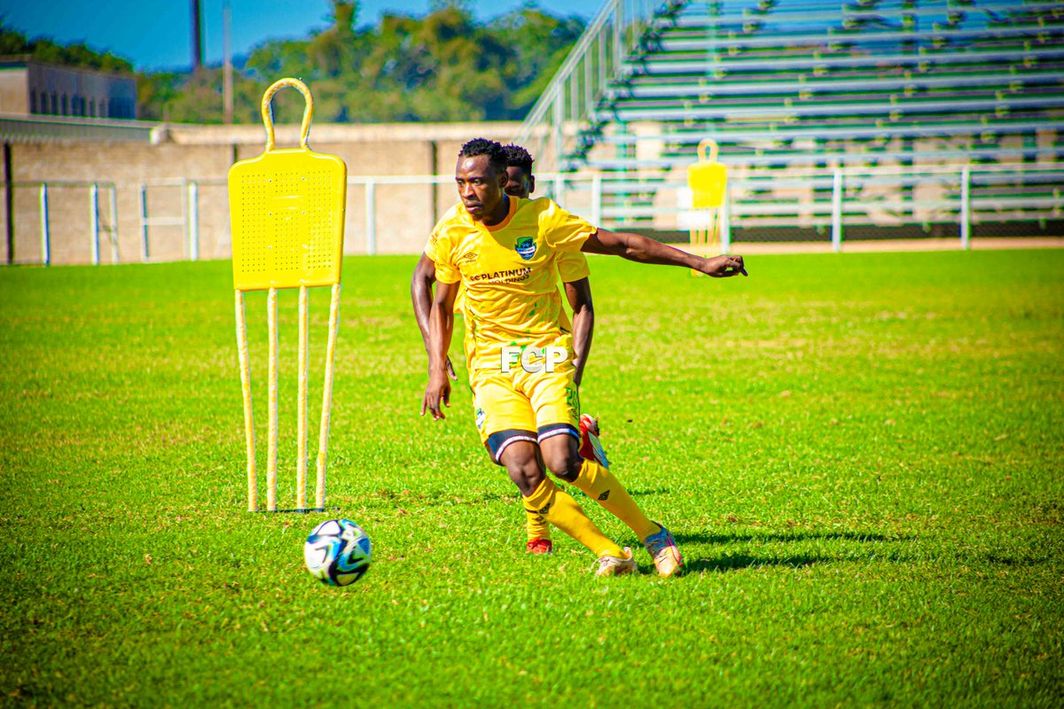 Building champions with every sprint, pass, and tackle.

FBC Holdings
#cellmedhealthfund
#PlatinumHoldings
#AllianceHealth
#pureplatinumplay
#TheAfricanDream