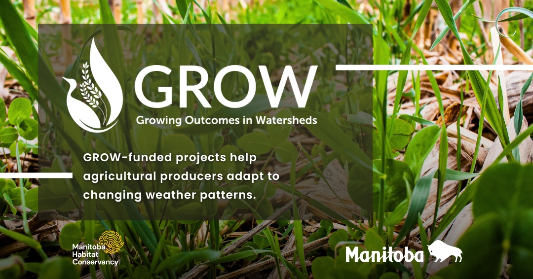 Climate resilience is key!  GROW-funded projects help adapt agricultural practices to changing weather patterns. Contact your local watershed district today to get started!

ow.ly/aoWx50VjVwi

#GROW #GROWFundingMB #mbwatersheds