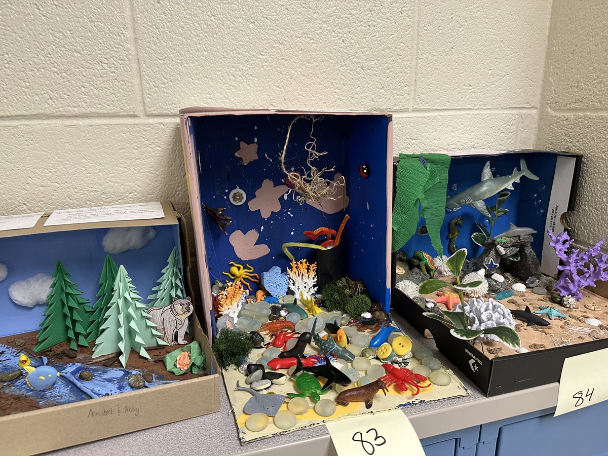 𝔸𝕦𝕓𝕦𝕣𝕟 𝕄𝕚𝕕𝕕𝕝𝕖 𝕊𝕔𝕙𝕠𝕠𝕝 tweet media