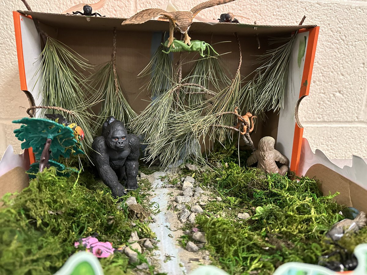 𝔸𝕦𝕓𝕦𝕣𝕟 𝕄𝕚𝕕𝕕𝕝𝕖 𝕊𝕔𝕙𝕠𝕠𝕝 tweet media