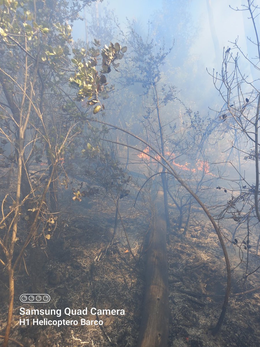 Primeiro incendio do ano para Helitransportada Barco, aìnda sin helicóptero. Èntoma (O Barco de Valdeorras).