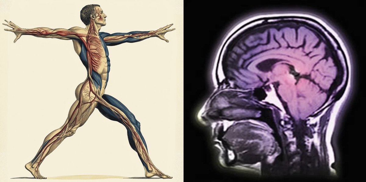 Stretching doesn’t just change your body—it rewires your brain.

And science finally understands why…

Here’s why stretching is so powerful, and how it can transform your mind: